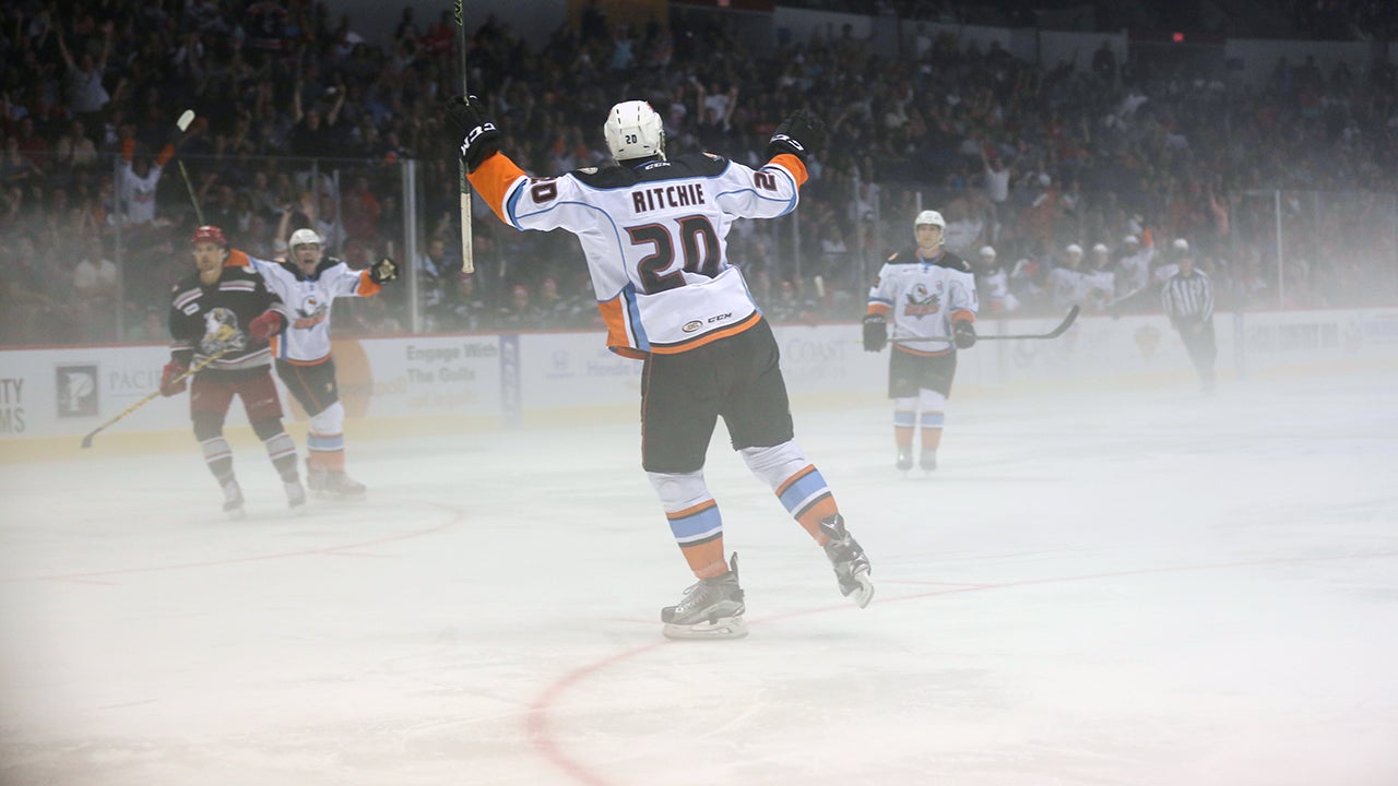 What Did I Learn Announcing for the AHL's Exhilarating San Diego Gulls?