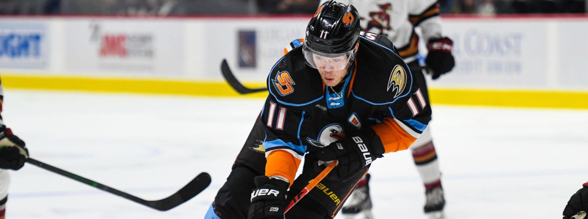 Ducks Reassign Sprong, Recall Sherwood