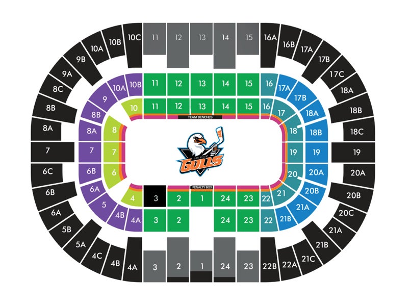 Gulls Elite New Members San Diego Gulls