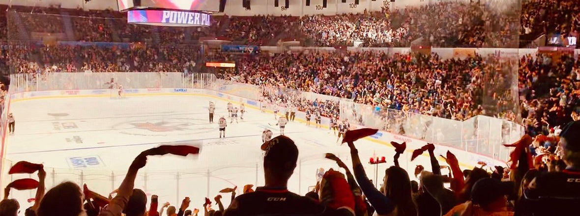 NHL's Ducks, Kings to play September exhibition game at San Diego's  Pechanga Arena - The San Diego Union-Tribune