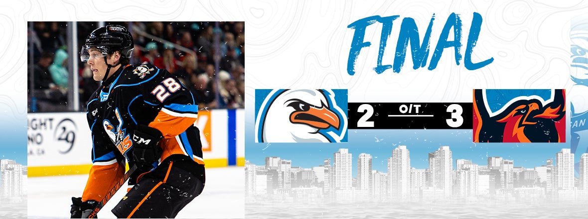 Gulls Fall in OT