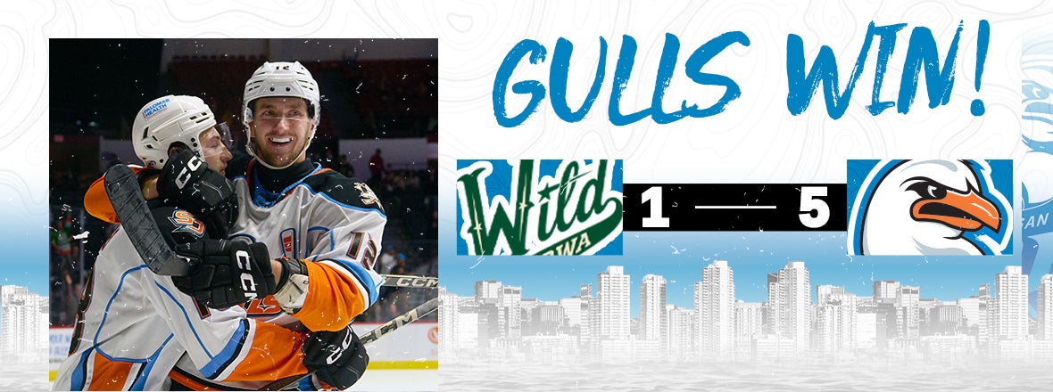 Gulls Go Wild